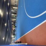 エンジョイ！日曜個サル！